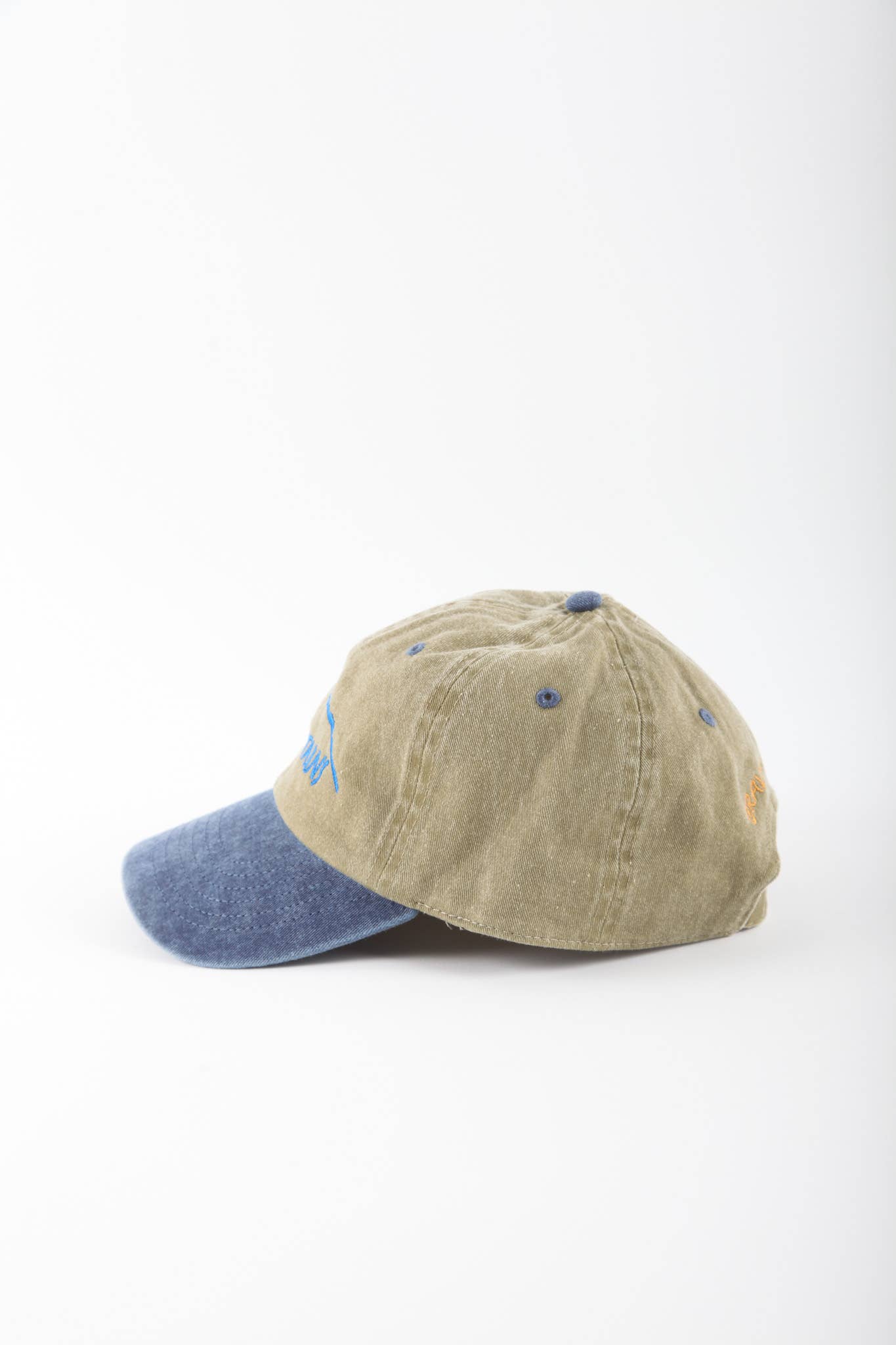 The Mountains Cap - Two Tone Blue
