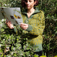 Hilma Pullover Sweater