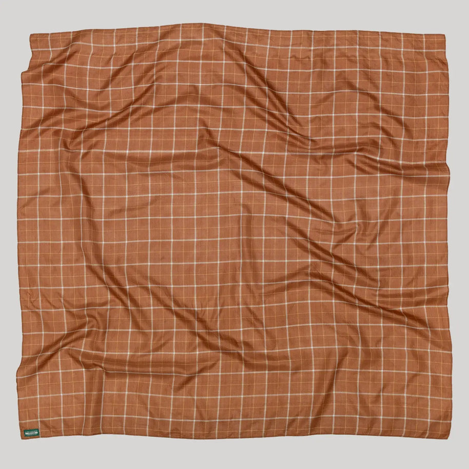 Light Silk Cowboy Scarf