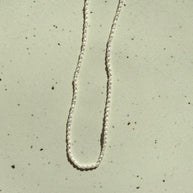Tiny Vintage Pearls | White | 16.75