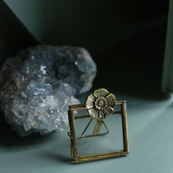 Mia Poppy Frame Mini