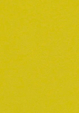 Cropped Long Sleeve Tee