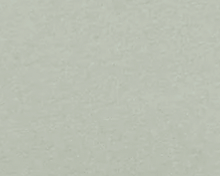 Cropped Long Sleeve Tee