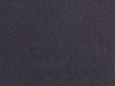 Cropped Long Sleeve Tee