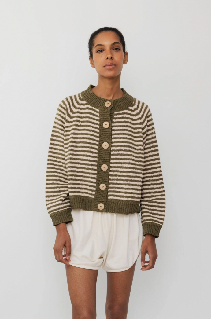 Striped Bomber
