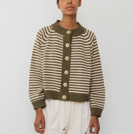 Striped Bomber