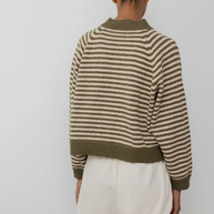 Striped Bomber