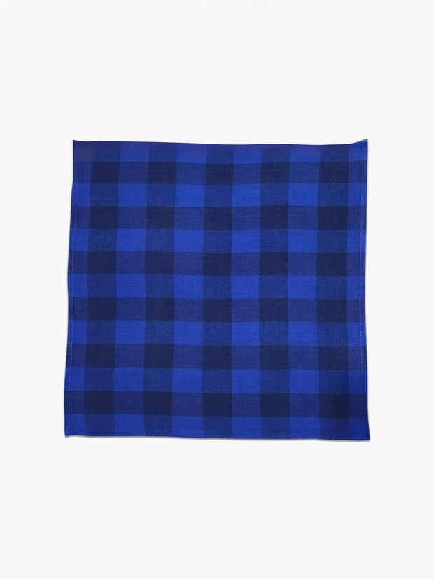 Big Gingham Napkin Pair | Cascade